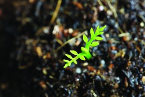 智能汽车使用技巧：自适应巡航如何正确设置